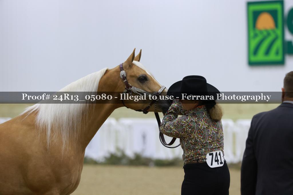 Proof 24R13_05080