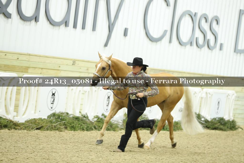 Proof 24R13_05081