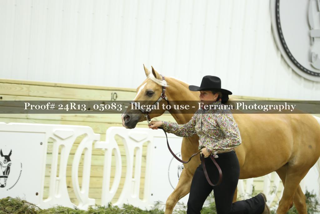 Proof 24R13_05083