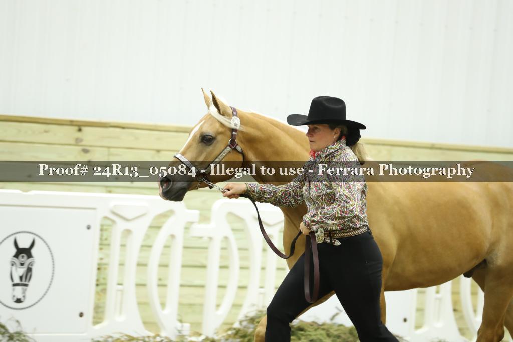 Proof 24R13_05084
