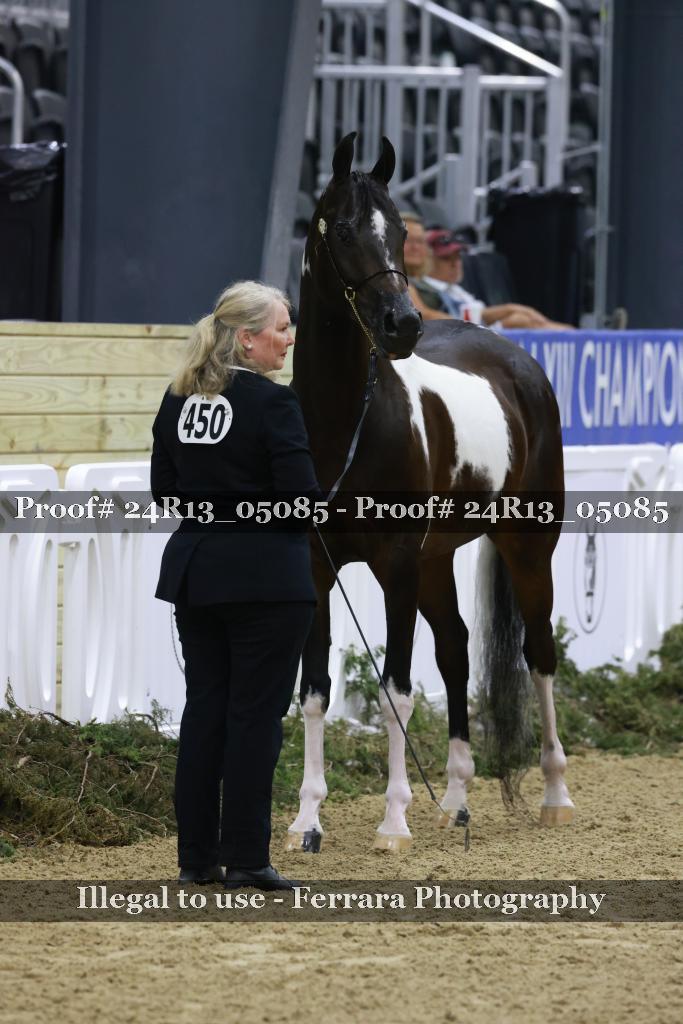 Proof 24R13_05085