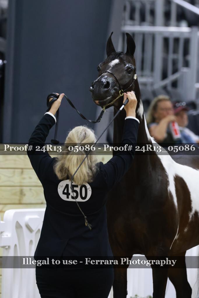 Proof 24R13_05086