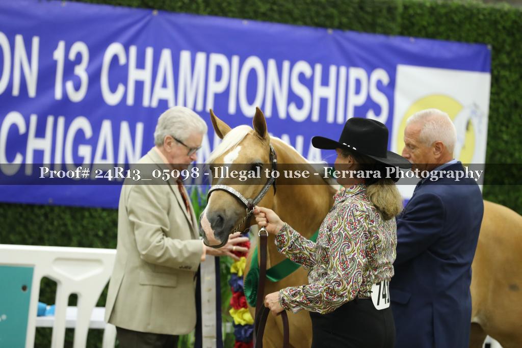 Proof 24R13_05098