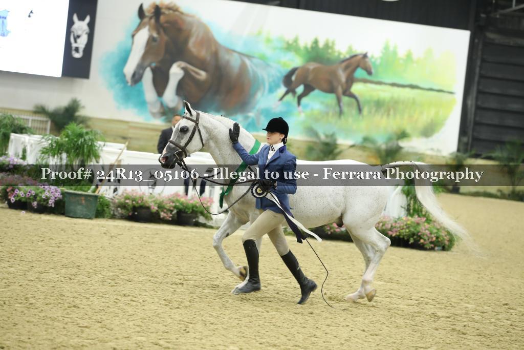 Proof 24R13_05106