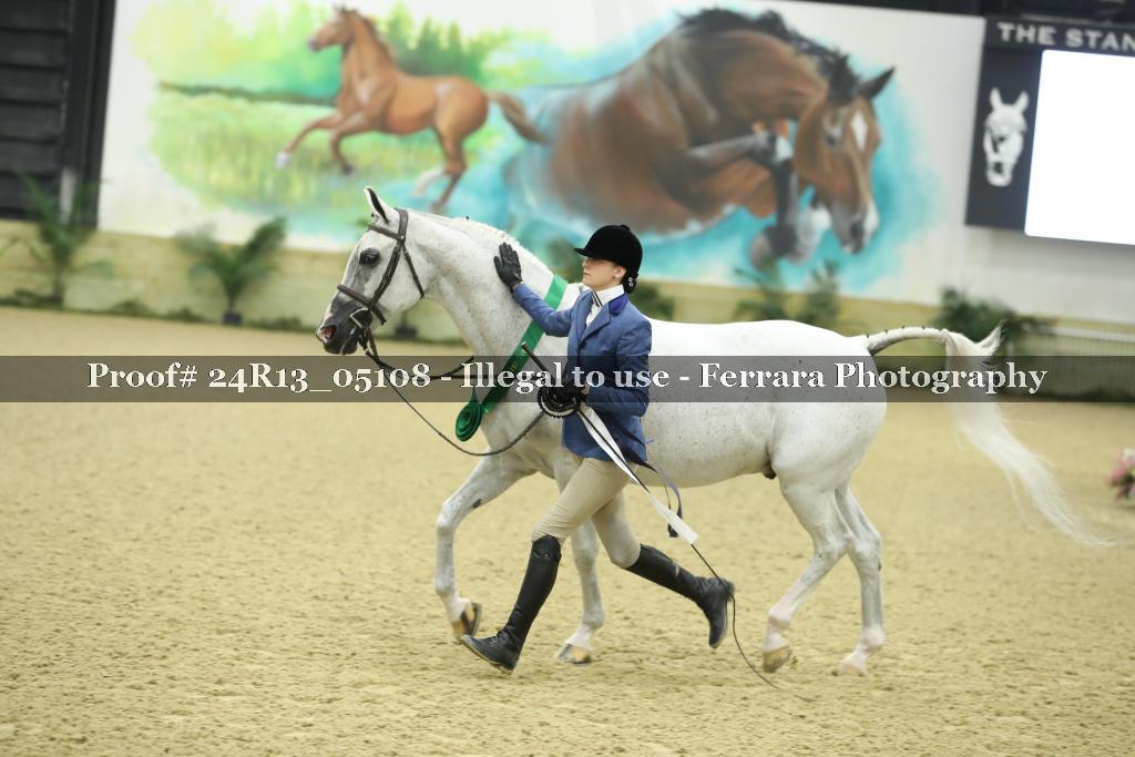 Proof 24R13_05108