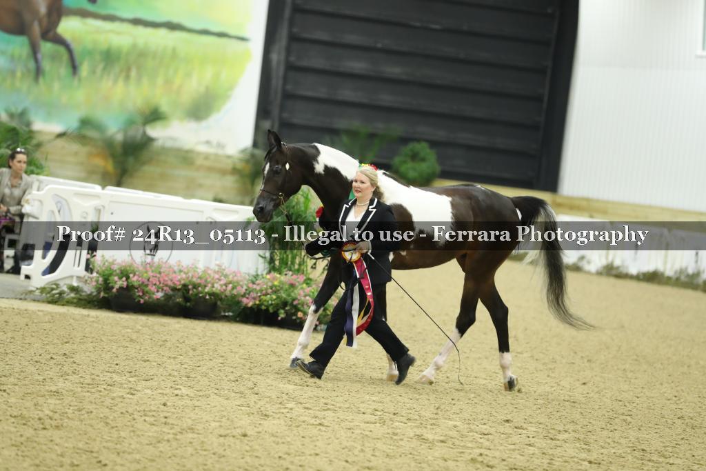 Proof 24R13_05113