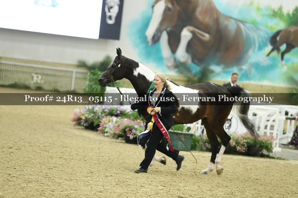 Proof 24R13_05115