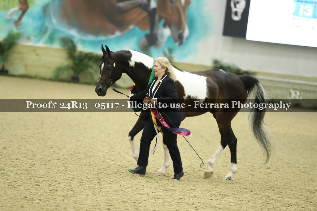 Proof 24R13_05117