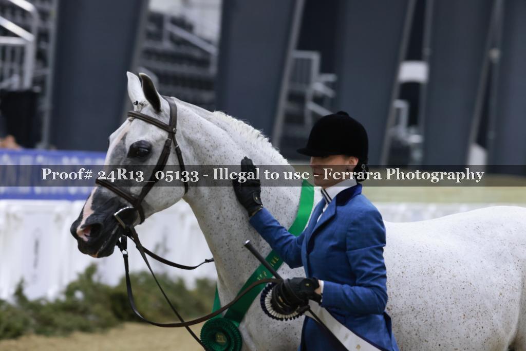 Proof 24R13_05133