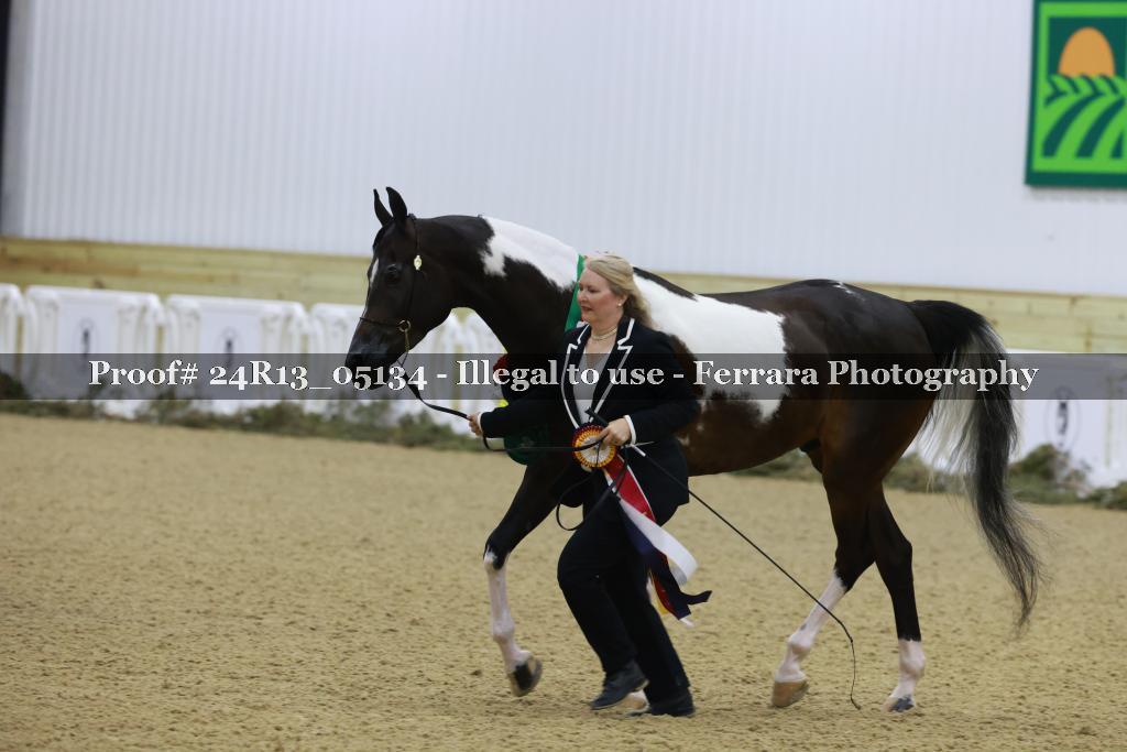 Proof 24R13_05134