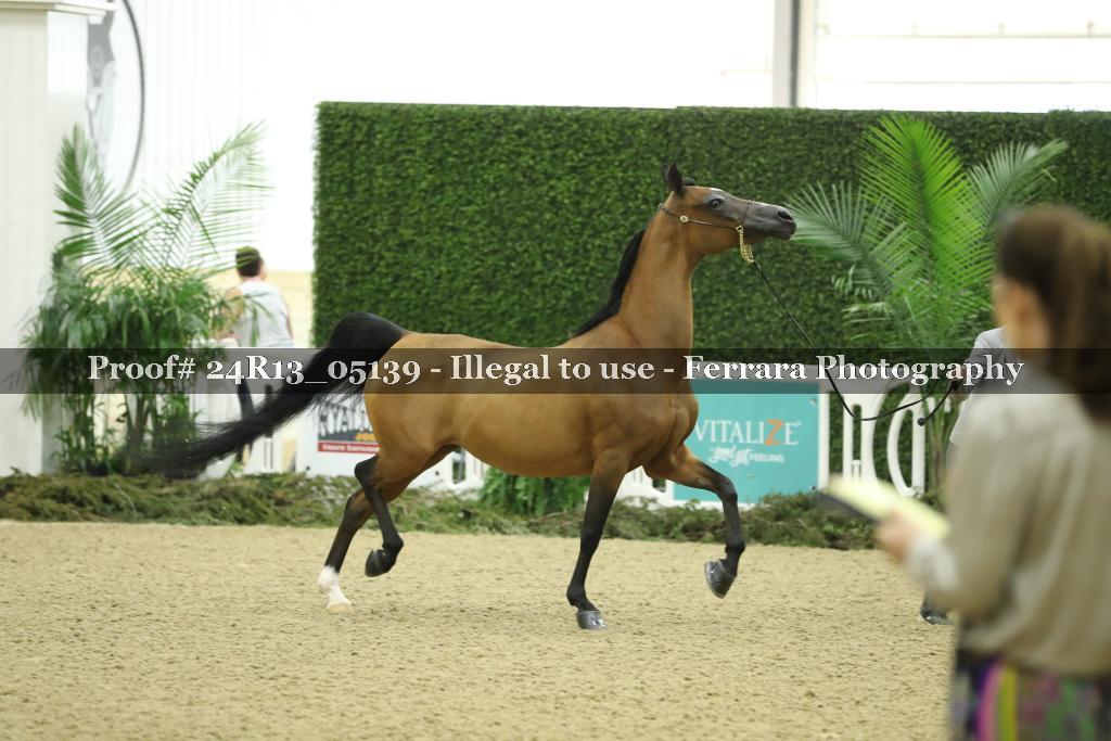 Proof 24R13_05139