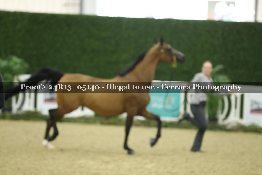 Proof 24R13_05140