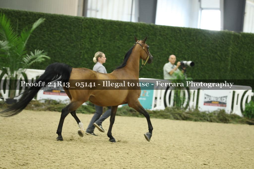 Proof 24R13_05141