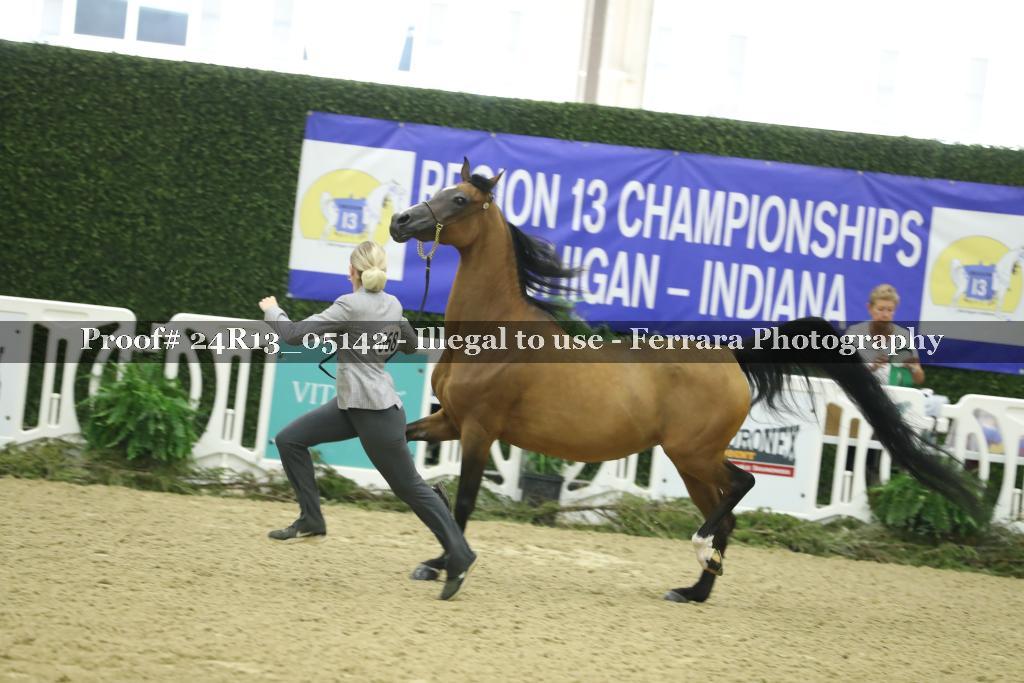 Proof 24R13_05142