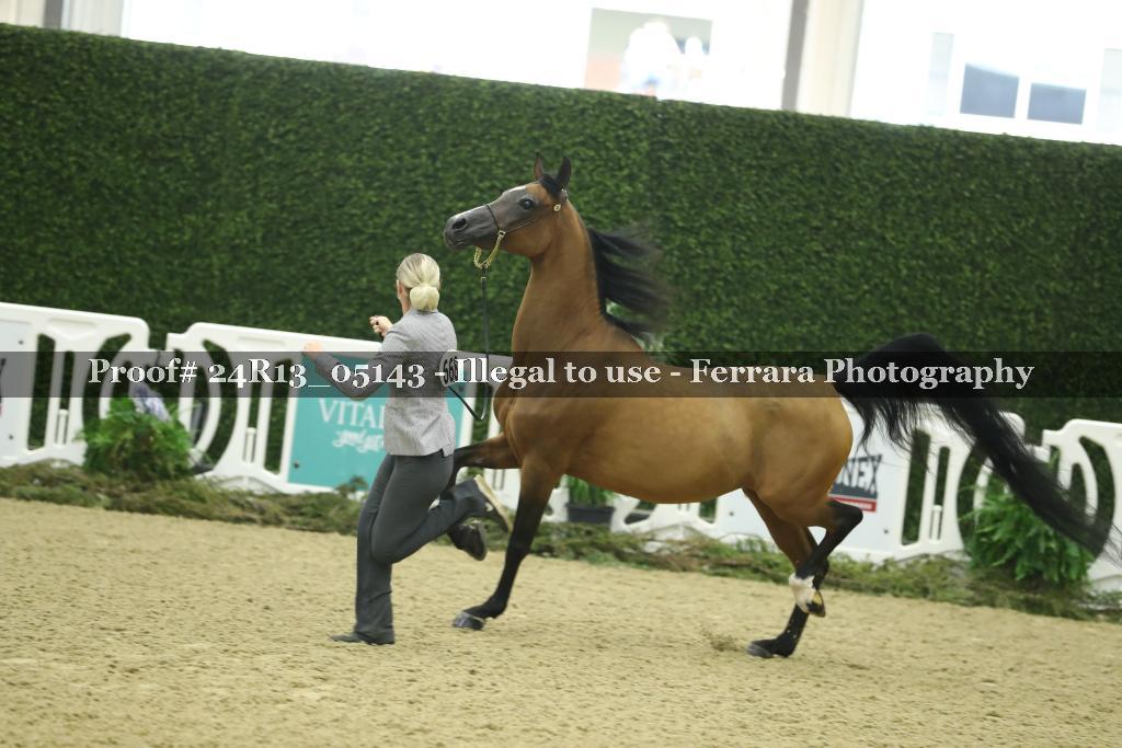 Proof 24R13_05143