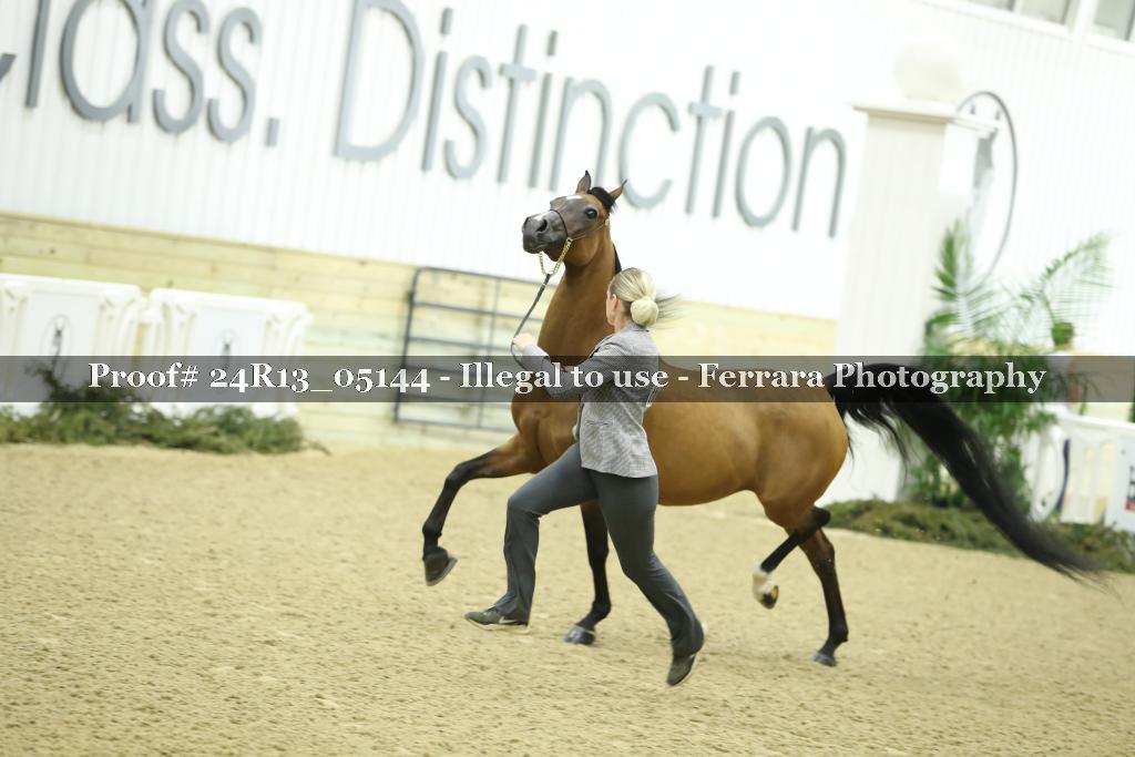 Proof 24R13_05144