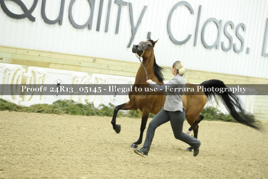 Proof 24R13_05145
