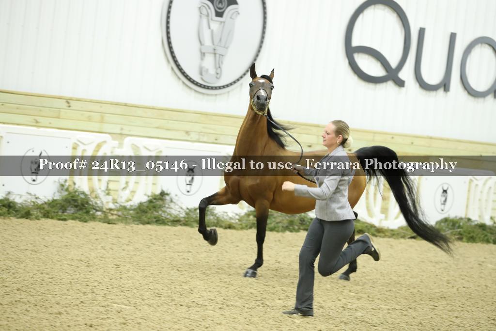 Proof 24R13_05146