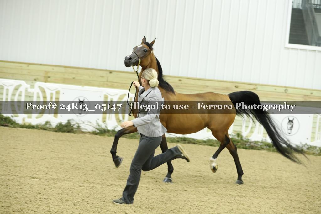 Proof 24R13_05147