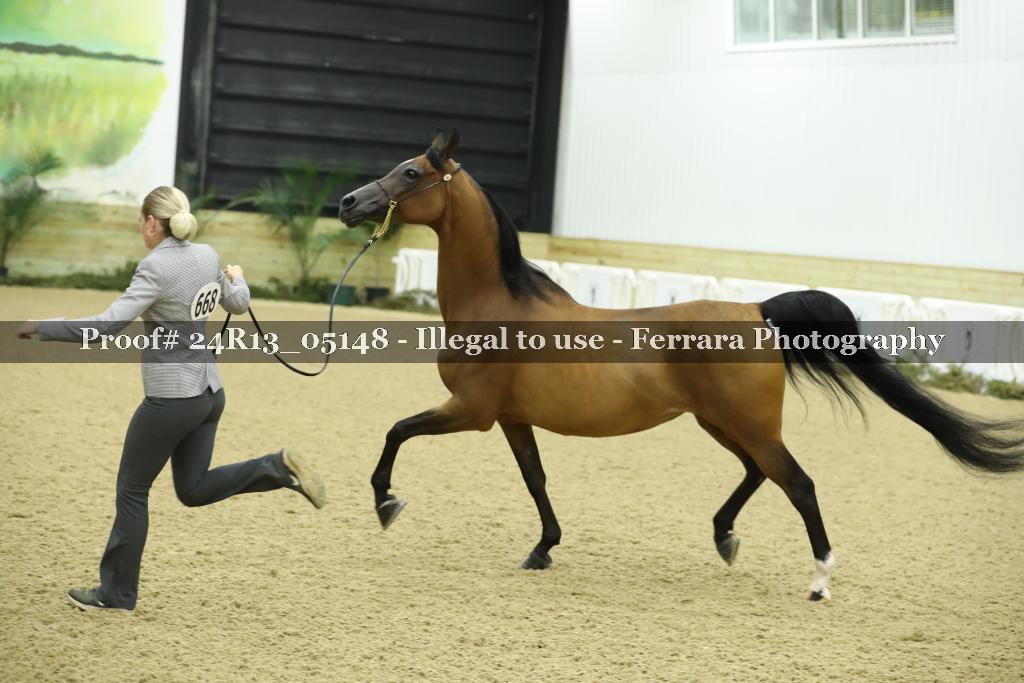 Proof 24R13_05148
