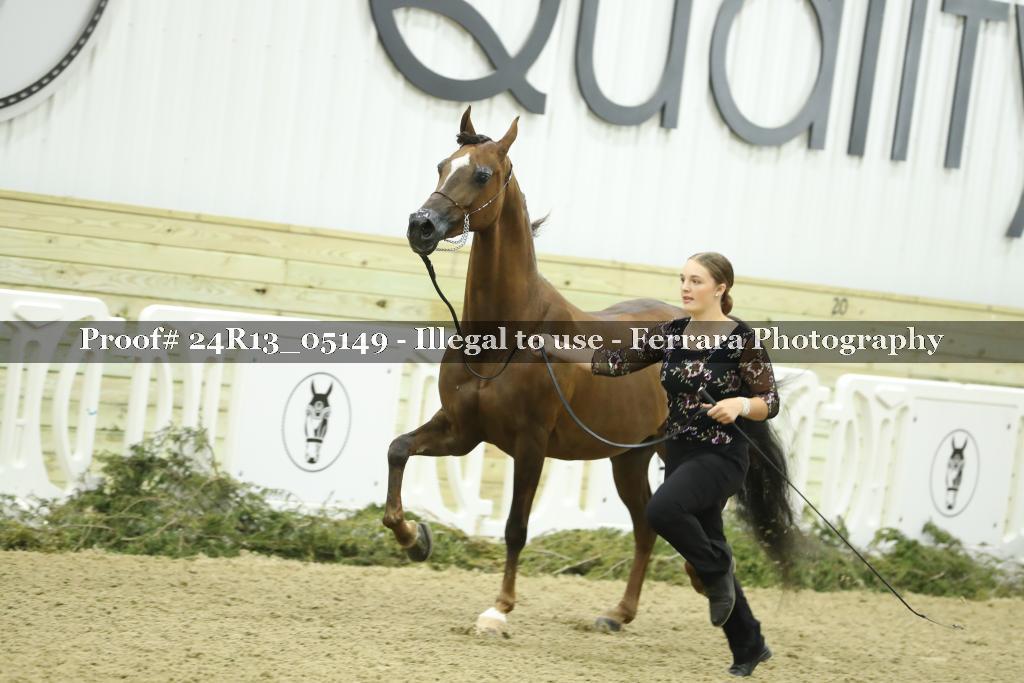 Proof 24R13_05149