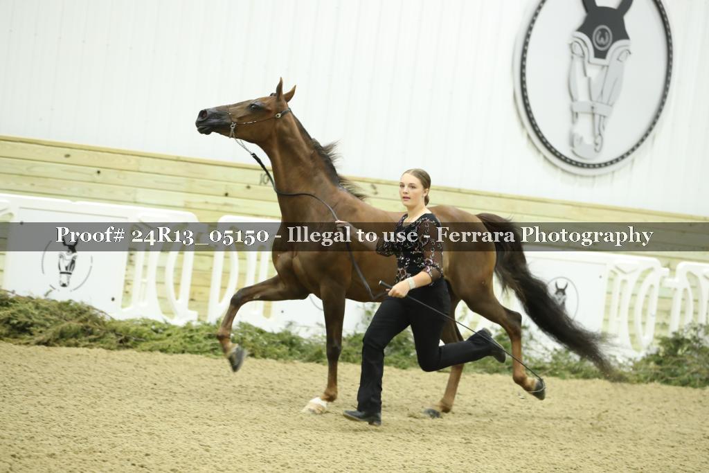 Proof 24R13_05150