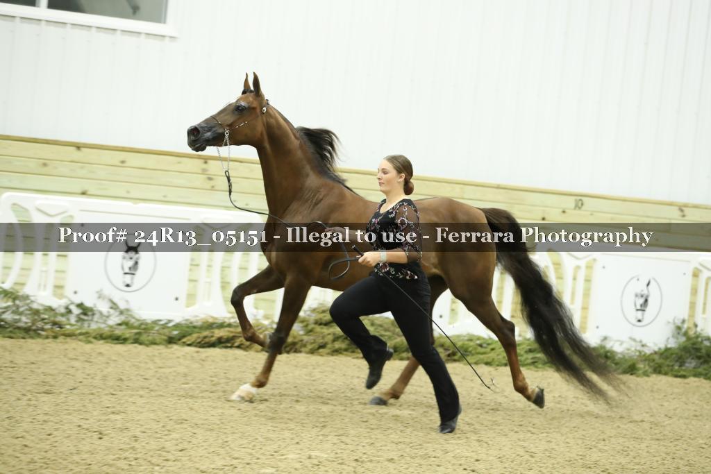 Proof 24R13_05151