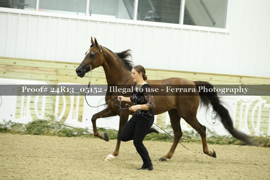 Proof 24R13_05152