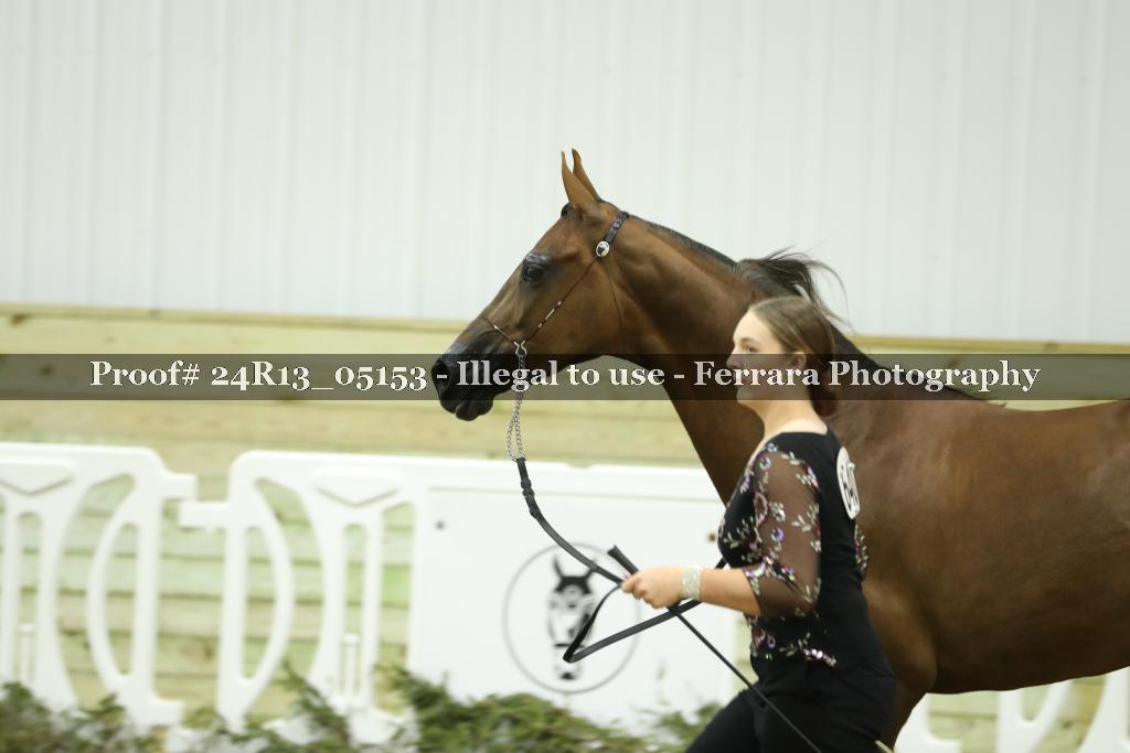 Proof 24R13_05153
