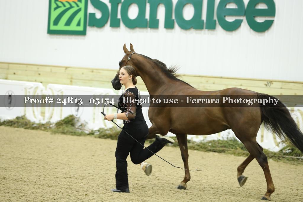 Proof 24R13_05154