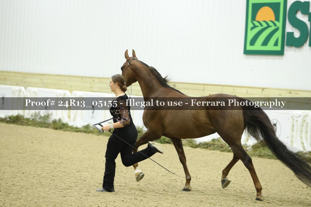 Proof 24R13_05155