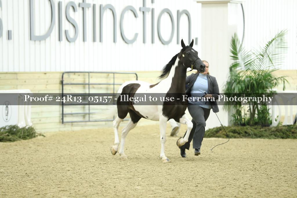 Proof 24R13_05157