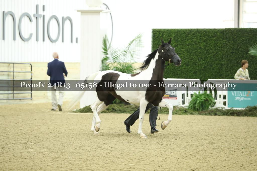 Proof 24R13_05158