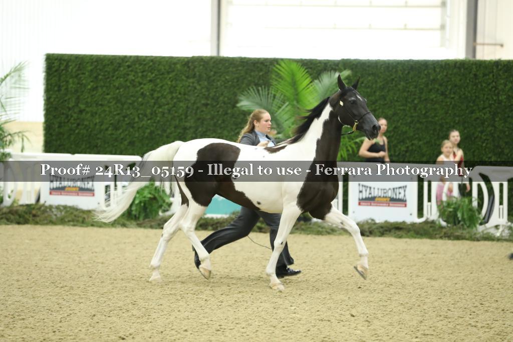Proof 24R13_05159