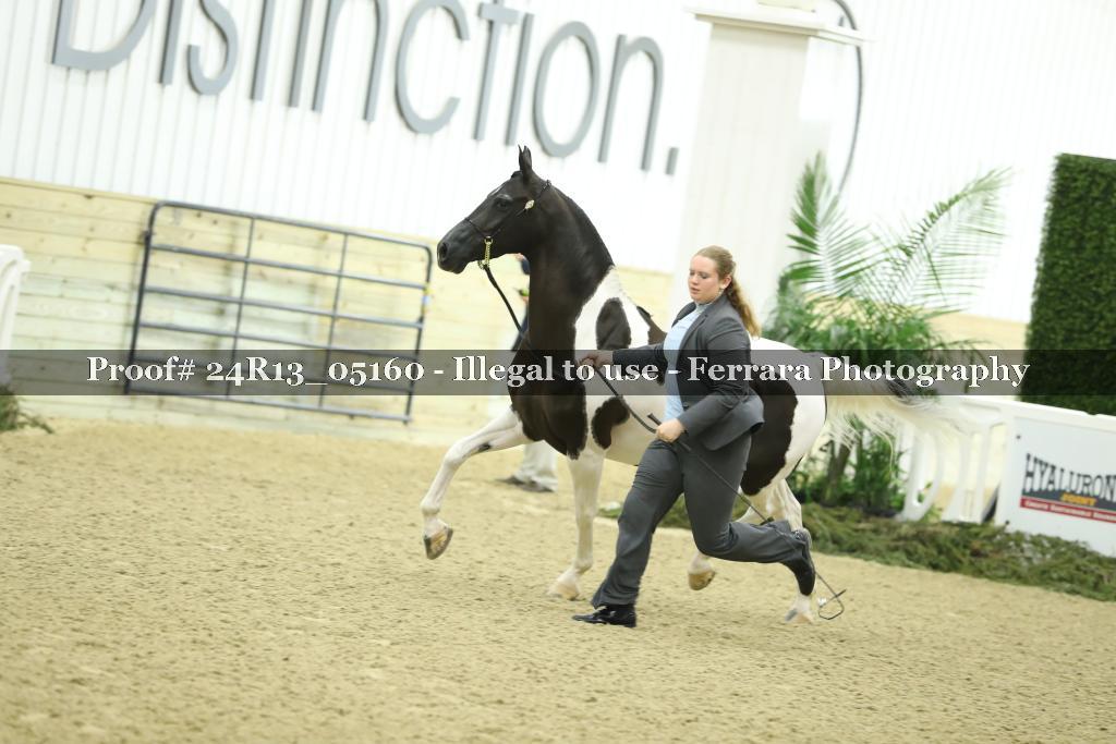 Proof 24R13_05160