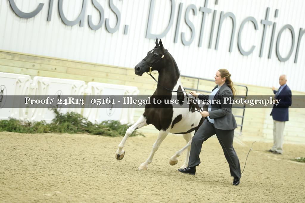 Proof 24R13_05161