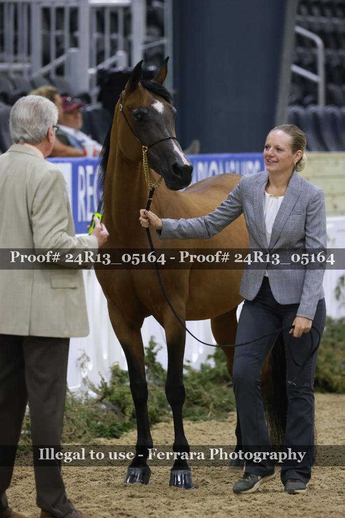 Proof 24R13_05164