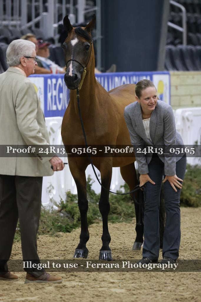 Proof 24R13_05165