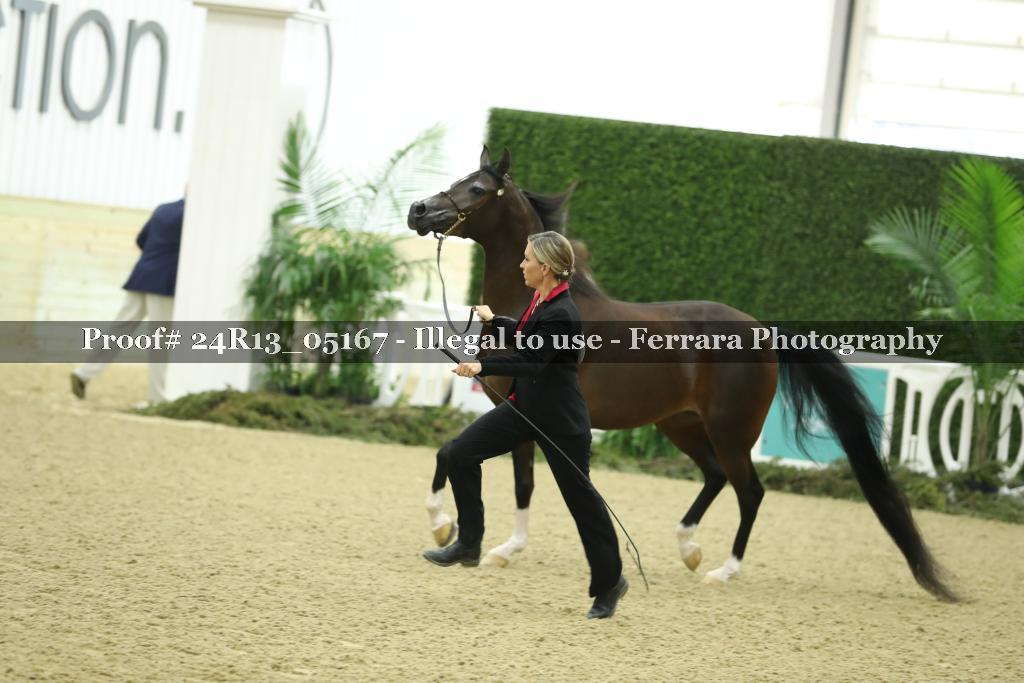 Proof 24R13_05167