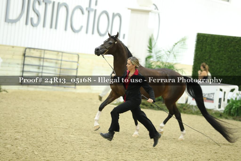 Proof 24R13_05168