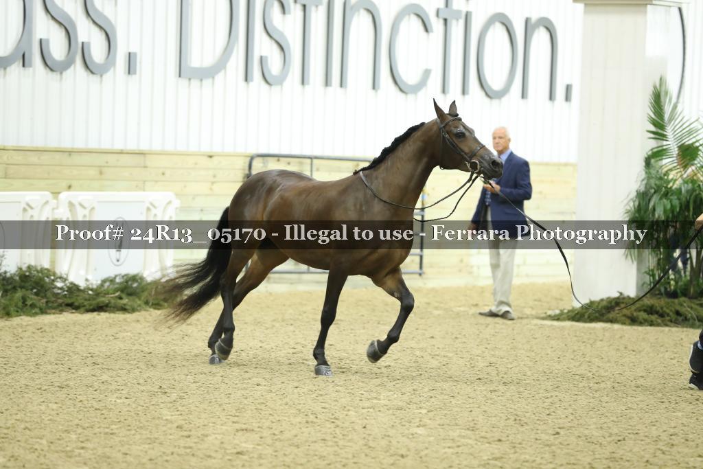 Proof 24R13_05170