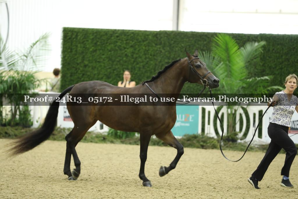 Proof 24R13_05172