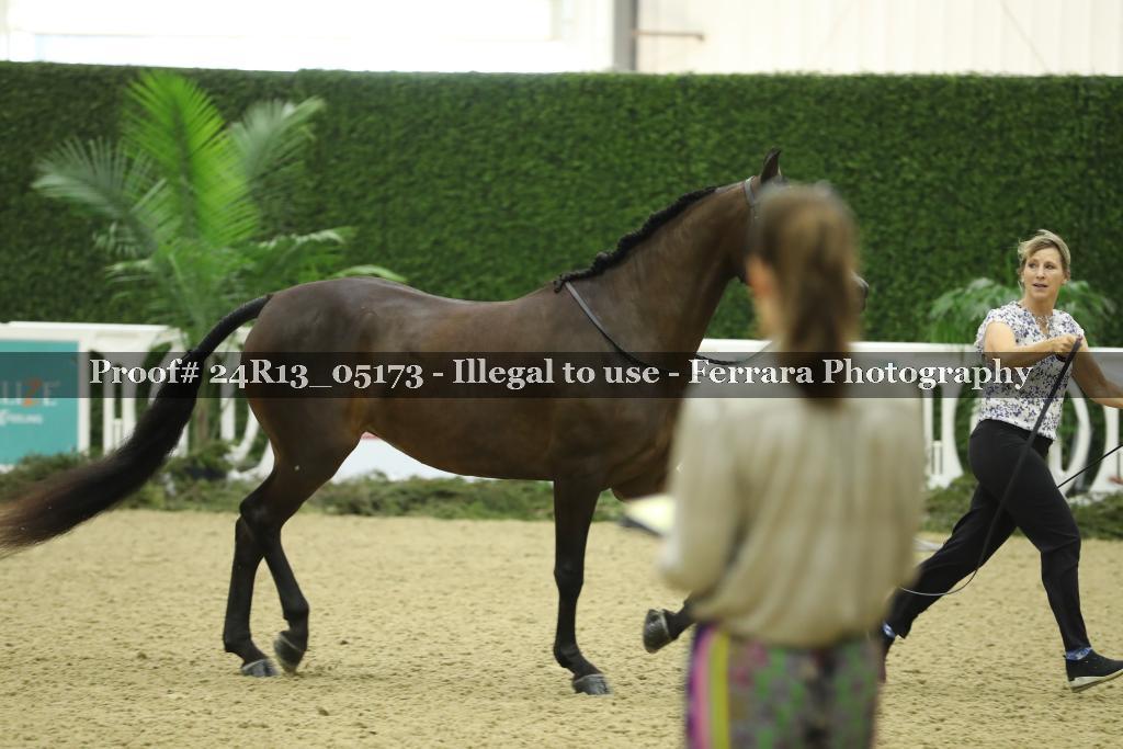 Proof 24R13_05173