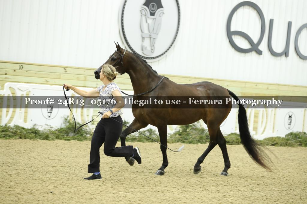 Proof 24R13_05176