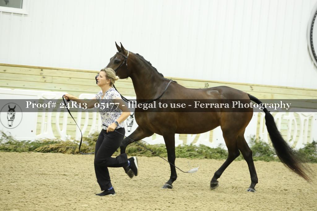 Proof 24R13_05177