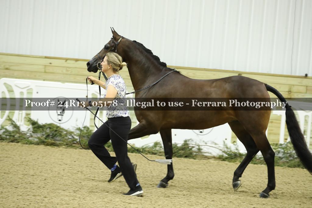 Proof 24R13_05178