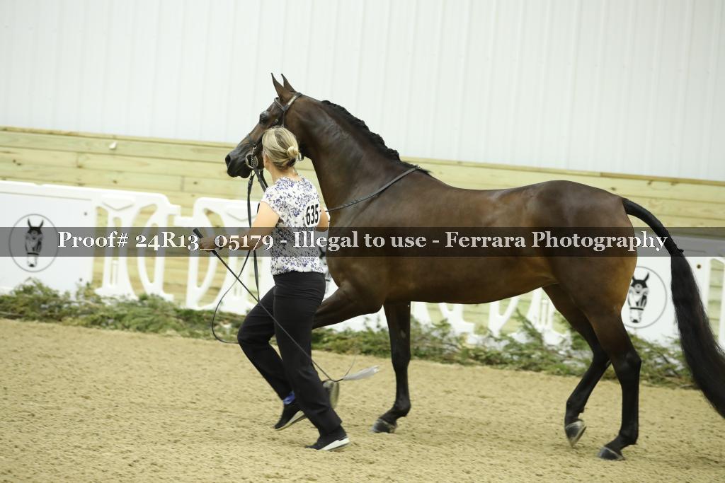 Proof 24R13_05179