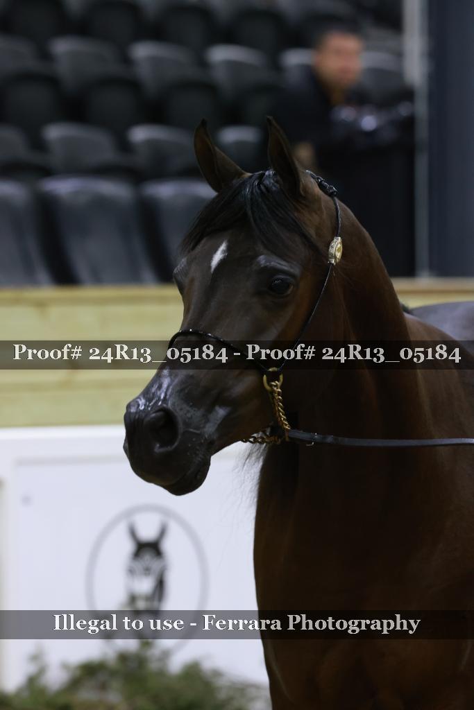Proof 24R13_05184