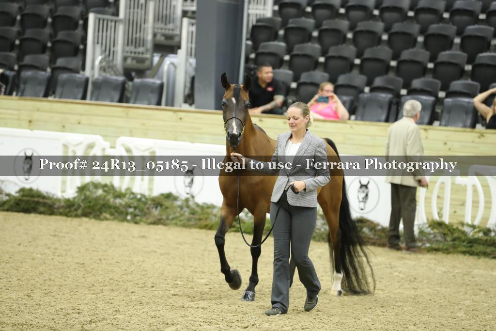 Proof 24R13_05185