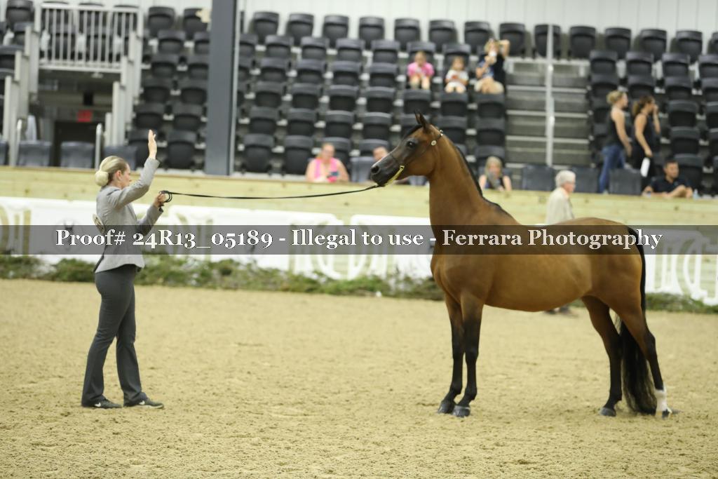 Proof 24R13_05189